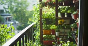 Vertical Gardening: Growing Up When You’re Short on Space