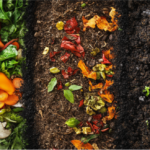 Composting 101: Turn Waste into Gold for Your Spring Garden