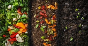 Composting 101: Turn Waste into Gold for Your Spring Garden