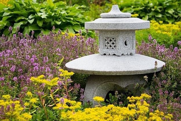 Types of Flowers Common In The U.S. & Their Characteristics | Garden Planning And Design | Practical Tips, Tricks, Ideas, And Guides