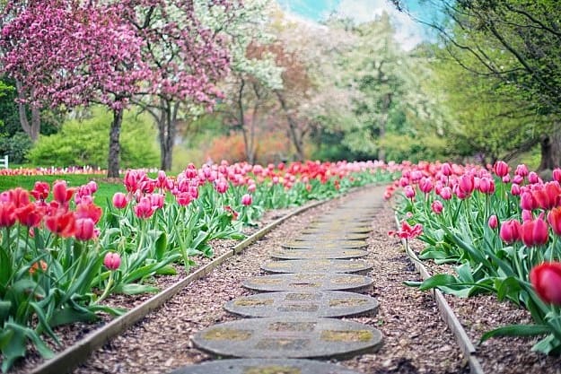 Garden Edging For A Knockout Front Lawn | Garden Planning And Design | Practical Tips, Tricks, Ideas, And Guides