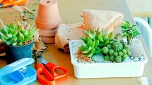 Garden Handmade on the table | Mini Garden Projects To Make With Your Kids | featured