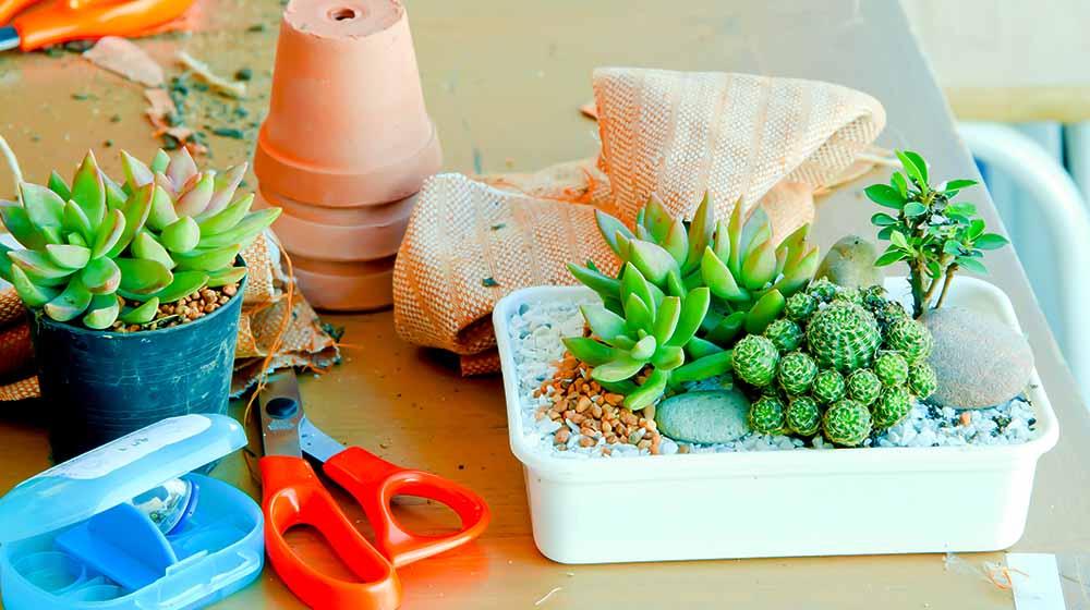 Garden Handmade on the table | Mini Garden Projects To Make With Your Kids | featured