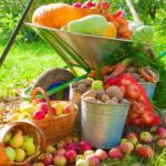 Harvested into a pile crop of vegetables in the garden | Fall Garden Crops | 21 Fruits And Veggies Perfect To Grow This Season | ss | featured