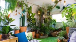 Little garden inside a small room | Apartment Gardening: Garden Season Ultimate Beginner’s Guide | potted plants | featured