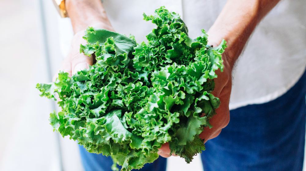 person holding lettuce leaves | Spring Vegetable Garden Plants Perfect For Spring Growing Season | vegetable garden plants | veggies to grow in spring