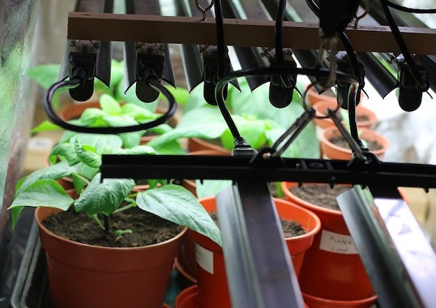 Materials To Make A DIY Indoor Grow Light | DIY Indoor Grow Light | Inexpensive Way To Growing An Indoor Garden