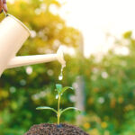 Old hand watering a tree on soil selective and soft focus a colour of vintage tone | Ways On How To Save On Water Bill | Smart Gardening Tips| water saving gardening | featured