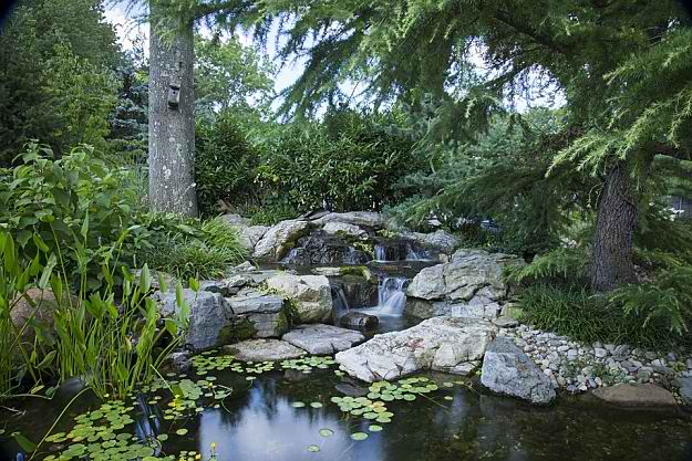 A Natural Garden Pond Building Guide And Practical Ideas | Garden Planning And Design | Practical Tips, Tricks, Ideas, And Guides
