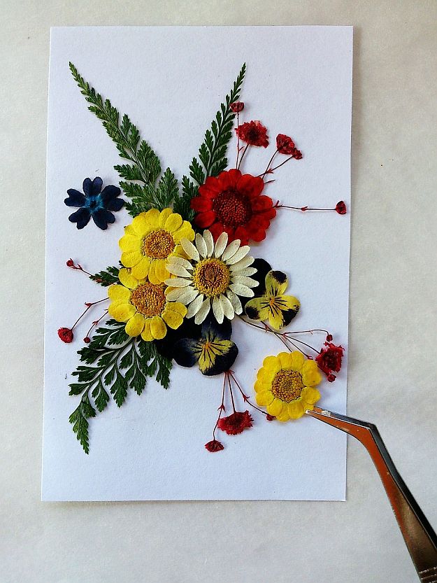 Pressing Flowers | Excitingly Creative Ways In Preserving Flowers | Gardening Ideas Pressing Flowers | Excitingly Creative Ways In Preserving Flowers | Gardening Ideas