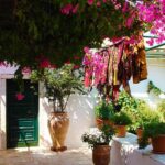 Terrace with flower pots and creeping flowers of bougainvillea in sunny summer day | Best Garden Theme Ideas To Freshen Up Your Garden | garden themes | featured