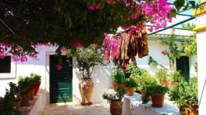 Terrace with flower pots and creeping flowers of bougainvillea in sunny summer day | Best Garden Theme Ideas To Freshen Up Your Garden | garden themes | featured