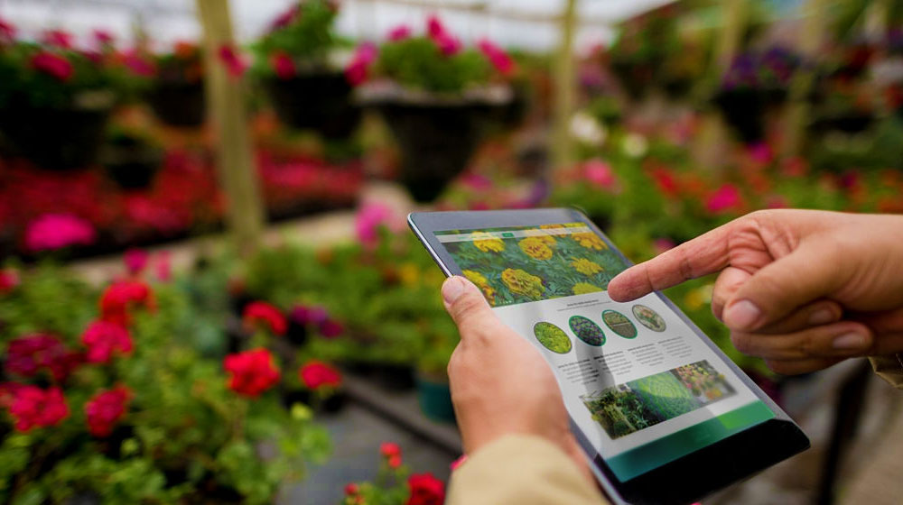 Using a tablet computer at a garden center | Best Gardening Apps You Need To Download Now | best gardening apps | featured