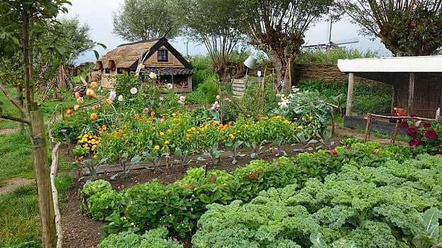 Creative Vegetable Garden Designs To Inspire Your Garden Revamp | Garden Planning And Design | Practical Tips, Tricks, Ideas, And Guides