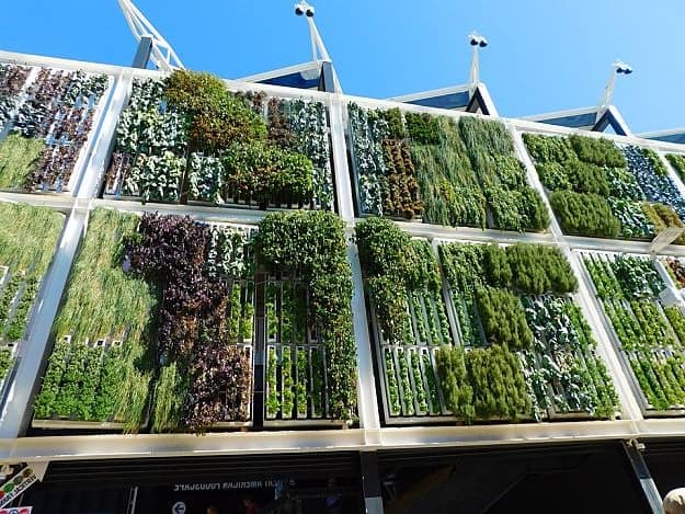 Vertical Garden Design | Garden Planning And Design | Practical Tips, Tricks, Ideas, And Guides