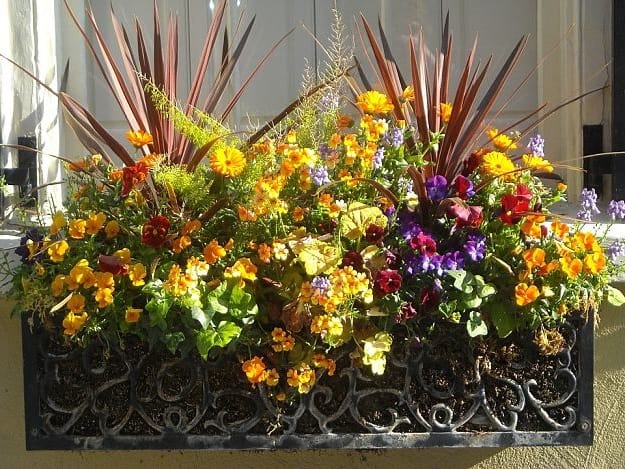 Container Gardening Tips For Homesteaders | Garden Planning And Design | Practical Tips, Tricks, Ideas, And Guides