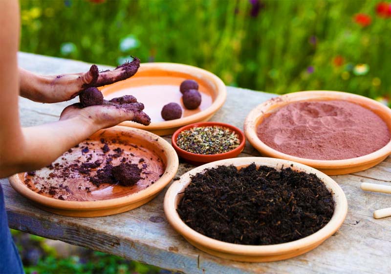 Woman is manufacturing seed balls or seed bombs on a wooden table | Mini Garden Projects To Make With Your Kids | garden projects for kids