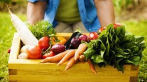 Wooden box filled fresh vegetables | Fastest Growing Vegetables To Plant For A Quick Harvest | fast growing crops | Featured