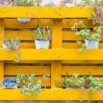 Wooden pallet attached to an old wall used as a flower vase | easy pallet garden ideas anyone can make | pallet garden wall | featured