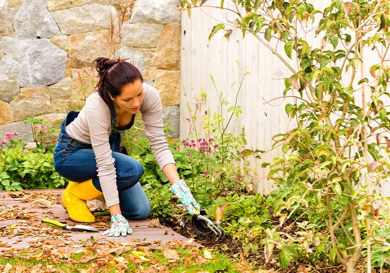Young woman autumn gardening | Vegetable Garden Design: How To Layout A Fall Garden | vegetable garden design