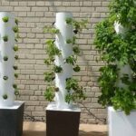 aerotower | How To Build Your Own Hydroponic Tower Garden At Home | diy hydroponic garden | featured