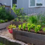 Backyard Garden | Pros And Cons Of Square Foot Gardening | Garden Season | Featured