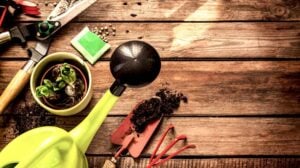 Basic Gardening Essentials | 10 Essential Garden Tools To Complete Your Gardening Tool Kit | Featured