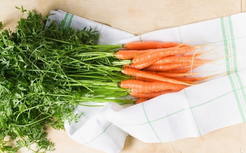 carrots on tea towel | autumn