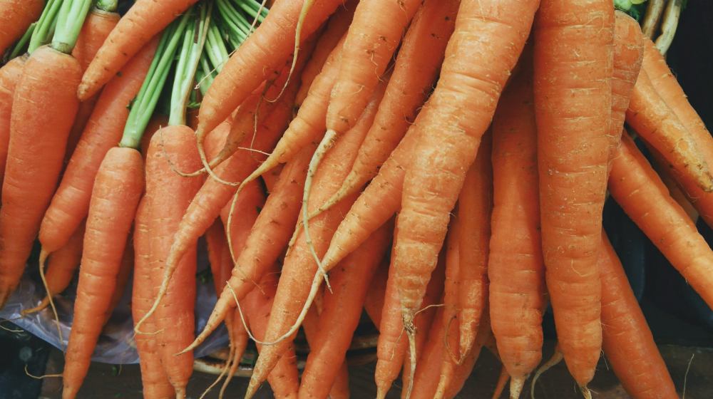 close up photo of carrots | Spring Vegetable Garden Plants Perfect For Spring Growing Season | vegetable garden plants | vegetables to grow in spring