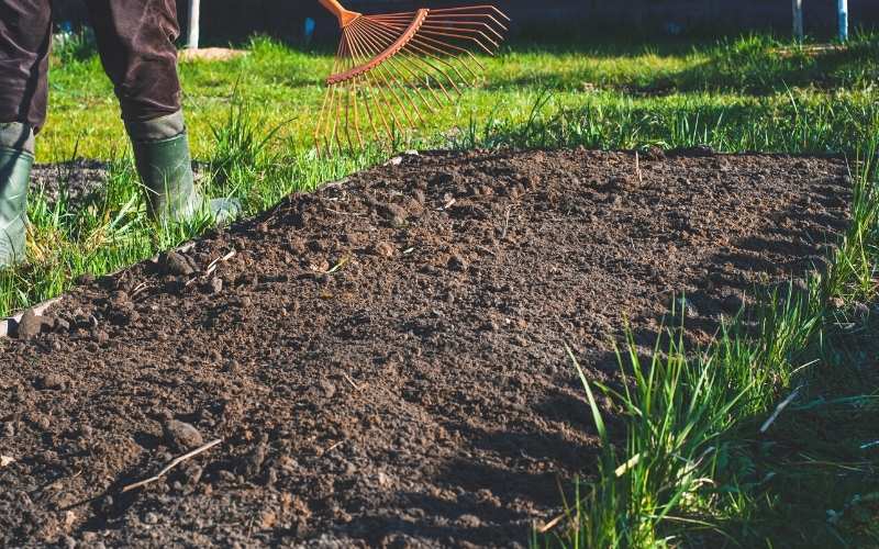 cleaning garden after winter orange fan rake | How To Grow Parsnips For A Fresh Fall Harvest