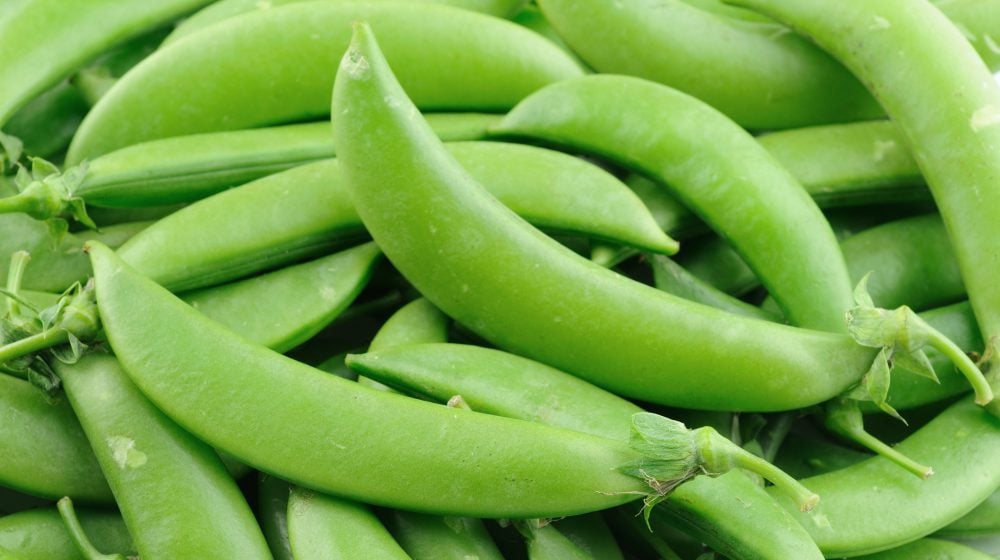 close up photo of sugar snap peas | Spring Vegetable Garden Plants Perfect For Spring Growing Season | vegetable garden plants | spring garden plants