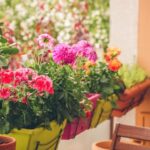 colorful flowers growing pots on balcony | 13 Pretty Fall Flowers To Plant In Your Autumn Garden Right Now | Featured