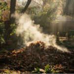Composting Guide: Turn Organic Waste into Garden Gold
