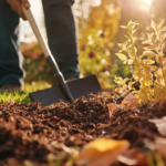 Fall Garden Cleanup