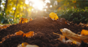 Fall Garden Prep: Laying the Groundwork for Next Spring’s Success