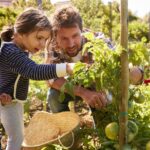 Father And Children Looking At Tomatoes Growing On Allotment | Help Your Kids Grow A Pizza Garden | mini garden | Featured