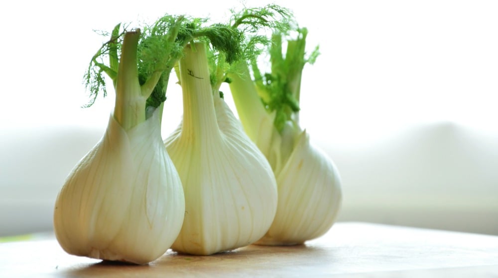 fennel vegetable on table | Spring Vegetable Garden Plants Perfect For Spring Growing Season | vegetable garden plants | best spring vegetables to grow