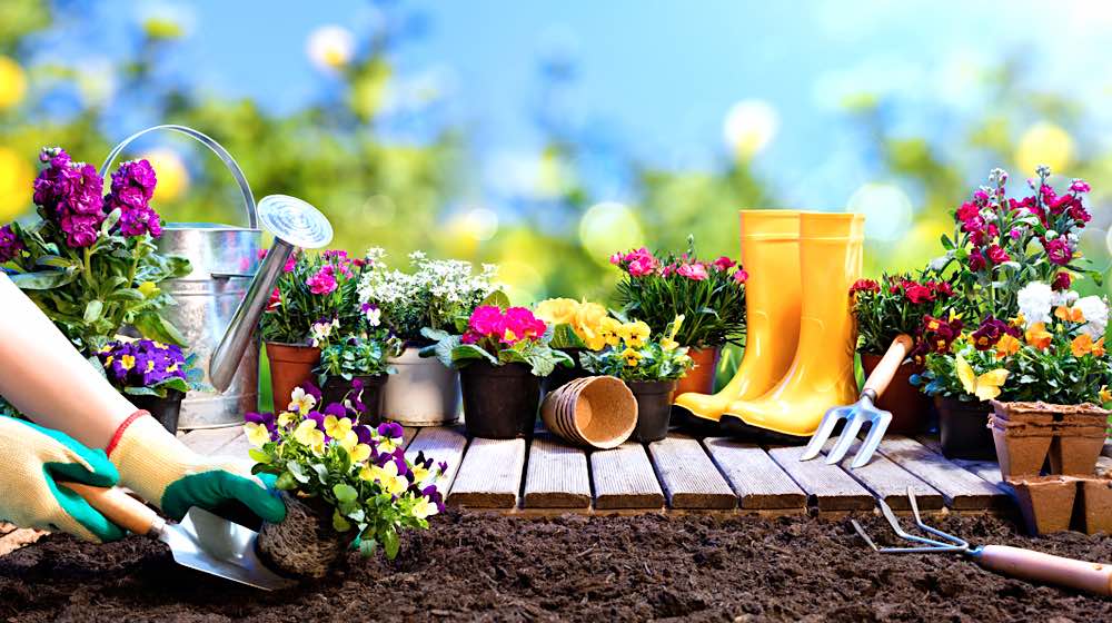 Flowers and Gardening Tools | Starting A Garden This Spring | Easy Gardening Tips And Tricks | Featured