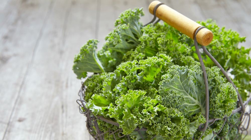 fresh green kale on wooden table | Spring Vegetable Garden Plants Perfect For Spring Growing Season | vegetable garden plants | plants to grow in spring
