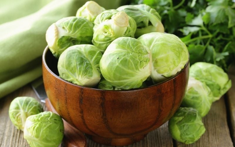 fresh raw organic green brussels sprouts | fall season