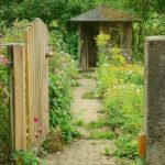 view of garden shed outside | Affordable Garden Shed Ideas | garden shed | garden tool shed | Featured