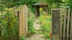 view of garden shed outside | Affordable Garden Shed Ideas | garden shed | garden tool shed | Featured