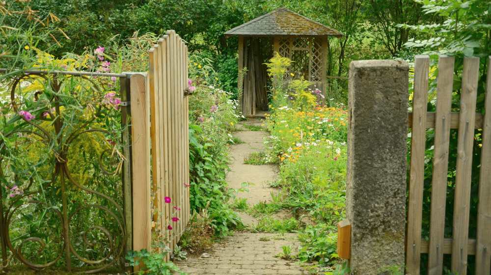 view of garden shed outside | Affordable Garden Shed Ideas | garden shed | garden tool shed | Featured
