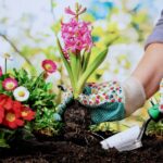 Gardener Planting Flowers | Practical Gardening Skills Every Gardener Should Have Handy| Featured