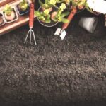Gardening Tools and Plants on Soil Background | Gardening Zones: The Key to Understanding Agricultural Hardiness Zones | Featured