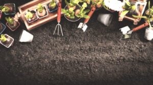 Gardening Tools and Plants on Soil Background | Gardening Zones: The Key to Understanding Agricultural Hardiness Zones | Featured