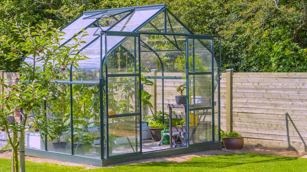 Greenhouse Near Wooden Fence | Greenhouse Gardening Mistakes and How To Avoid Them | Featured