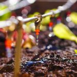 irrigation system in raised garden bed | Smart Plant Watering Systems For Easier Gardening | garden watering system | featured