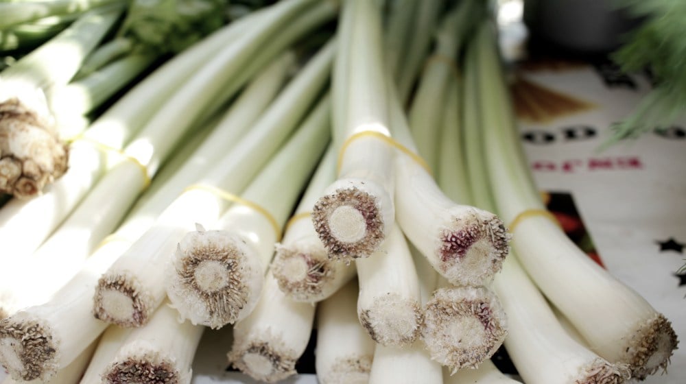 Fresh organic green leek onion | Spring Vegetable Garden Plants Perfect For Spring Growing Season | vegetable garden plants | what to grow in spring