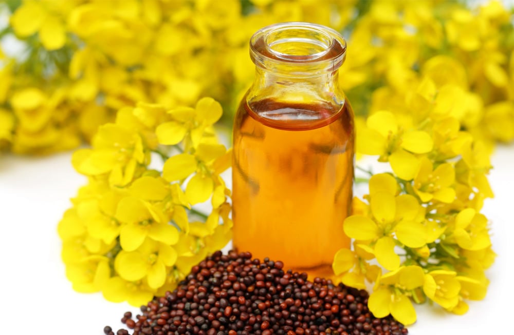 Mustard seed and oil | The Best Homemade Dog Repellent For Your Garden | repellent for dogs